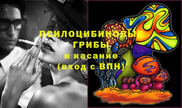 хмурый Ладушкин