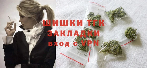 хмурый Ладушкин