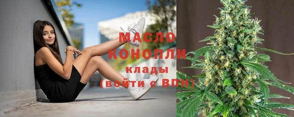 хмурый Ладушкин