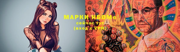 хмурый Ладушкин