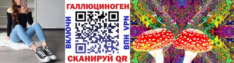 Псилоцибиновые грибы Psilocybine cubensis  Ува 
